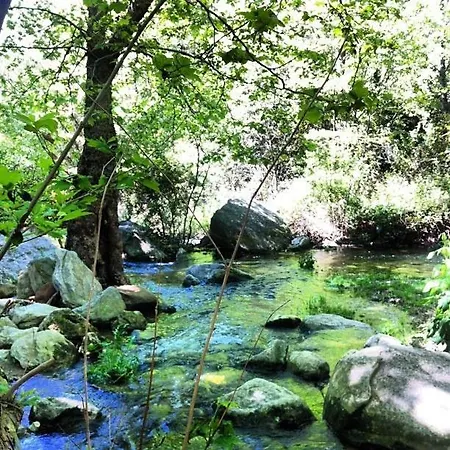 L'hereva Bigues I Riells